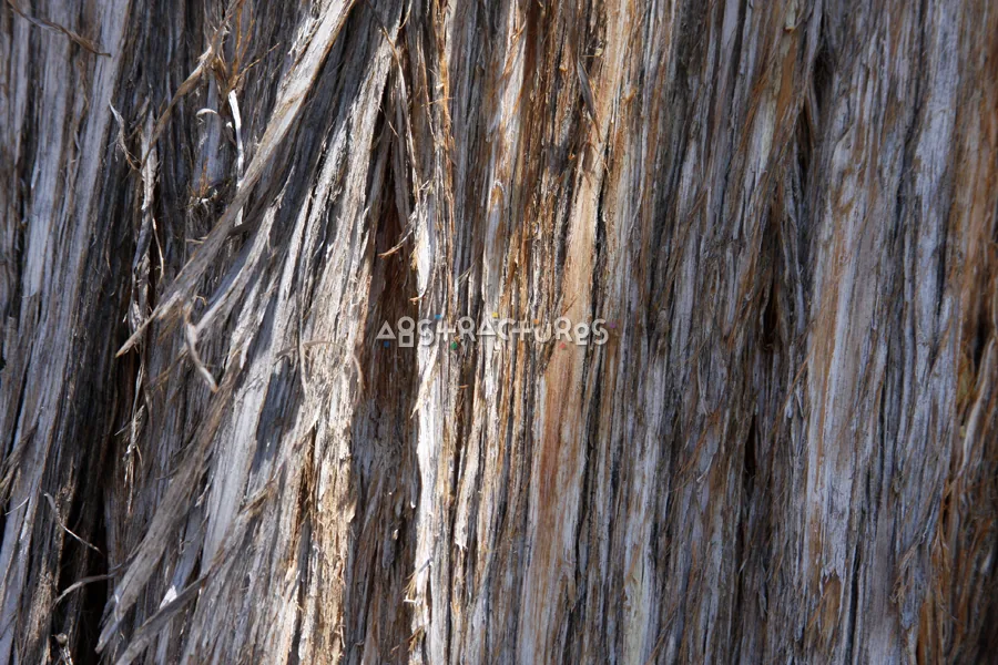 Wood Abstract Texture Background Image — photographic texture 42 — 30