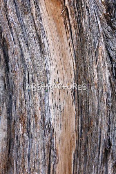 Wood Abstract Texture Background Image — photographic texture 41 — 21
