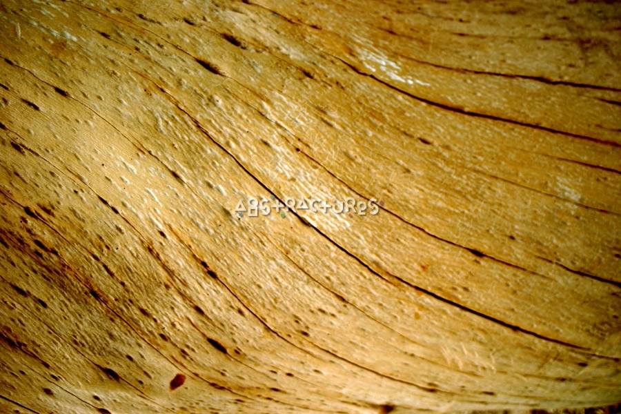 Unique Wood Abstract Texture Image — photographic texture 16 — 34