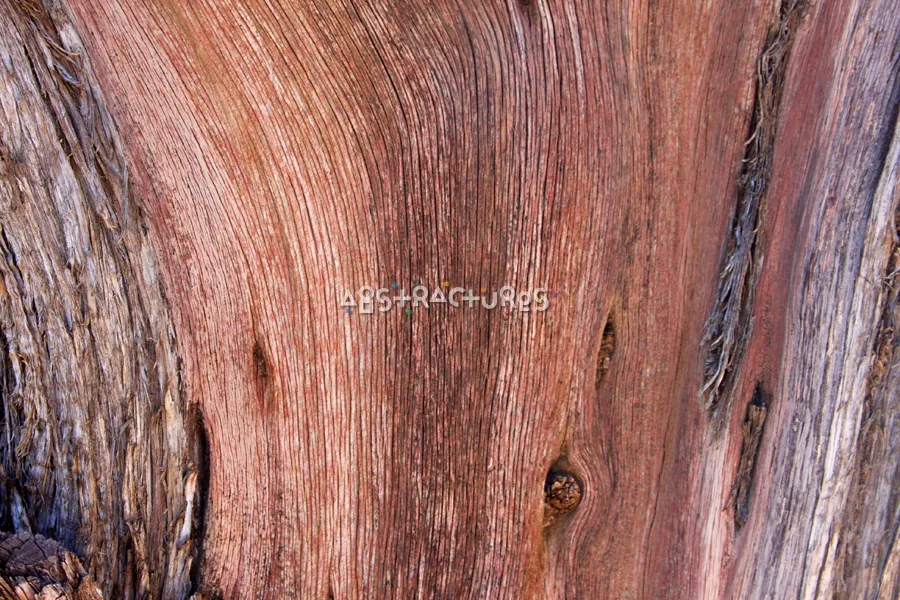 Wood Abstract Texture Background Image — photographic texture 41 — 11