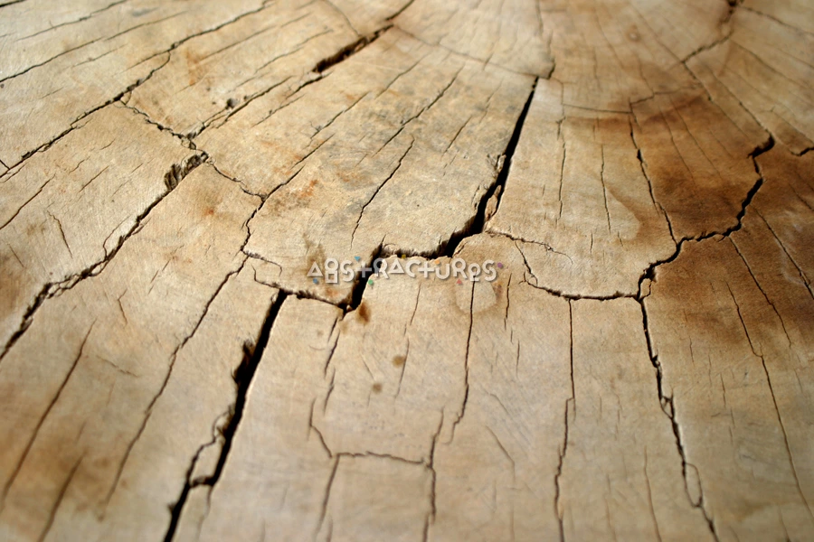 Cracked Wood Cross Section Texture — photographic texture 16 — 38