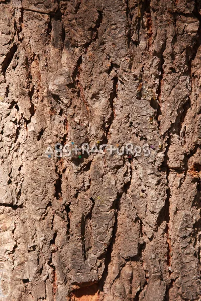 Wood Bark Abstract Texture Background — photographic texture 43 — 19