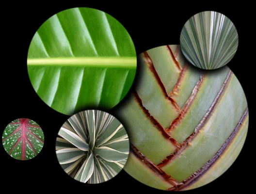 Circular crops from the Texture Collection 20 texture collection