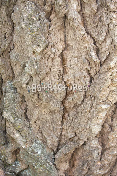 Wood Bark Abstract Texture Background — photographic texture 43 — 25