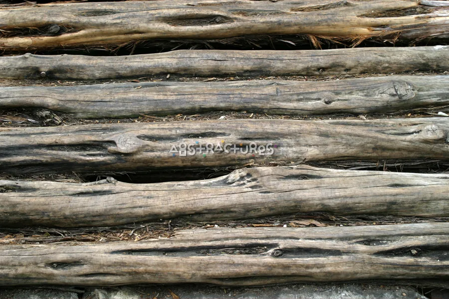 Texas Log Cabin Wood Texture — photographic texture 15 — 02