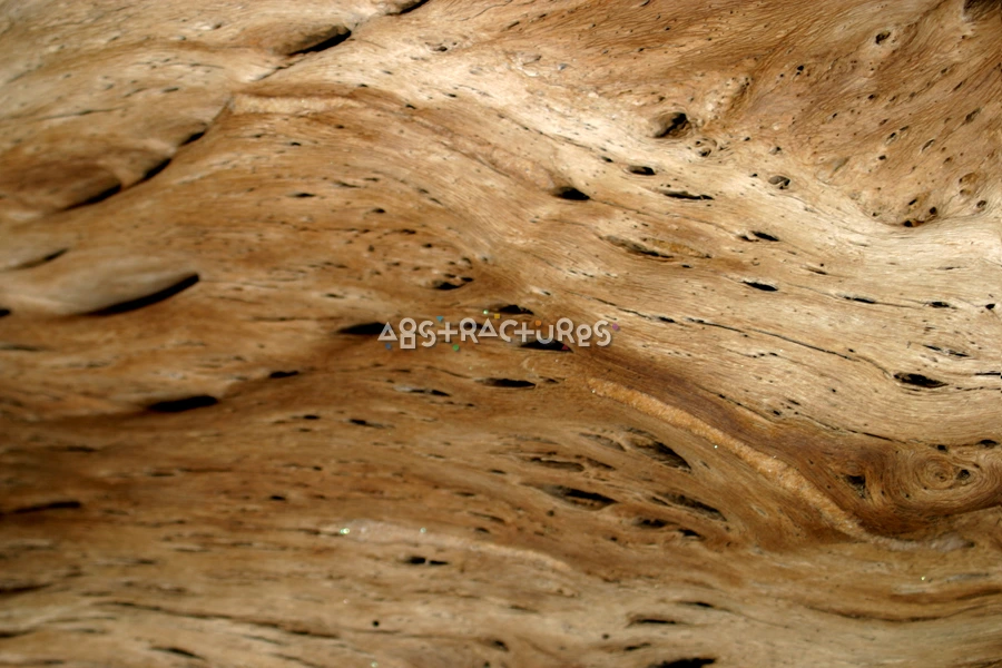 Unique Wood Abstract Texture Image — photographic texture 16 — 24