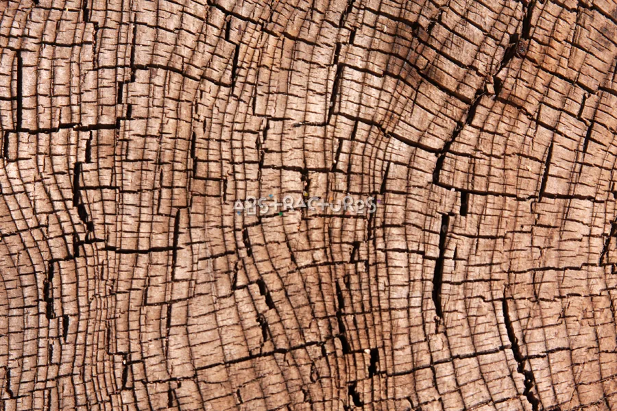 Wood Abstract Texture Background Image — photographic texture 41 — 16
