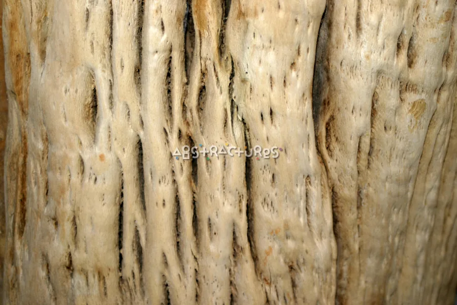 Unique Wood Grain Abstract Texture — photographic texture 15 — 36