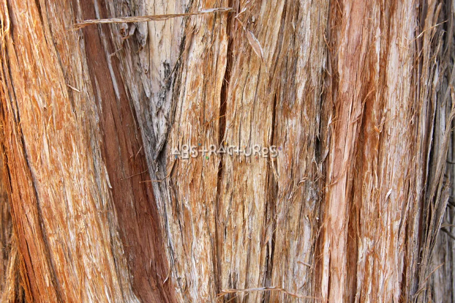 Wood Planks III texture 04 from Volume 42