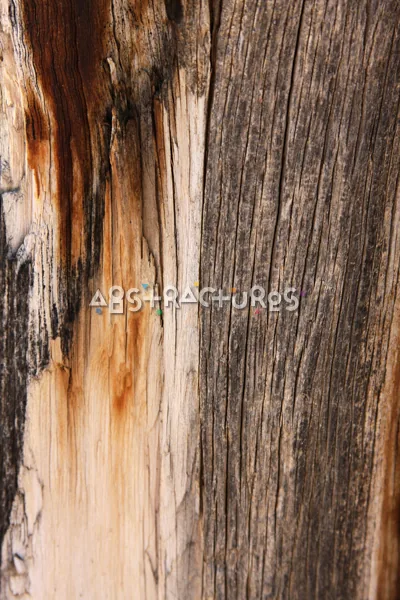 Wood Abstract Texture Background Image — photographic texture 41 — 06