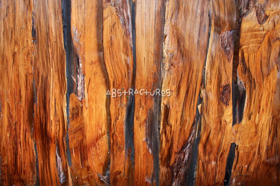Wood Abstract Texture Background Image — photographic texture 40 — 33