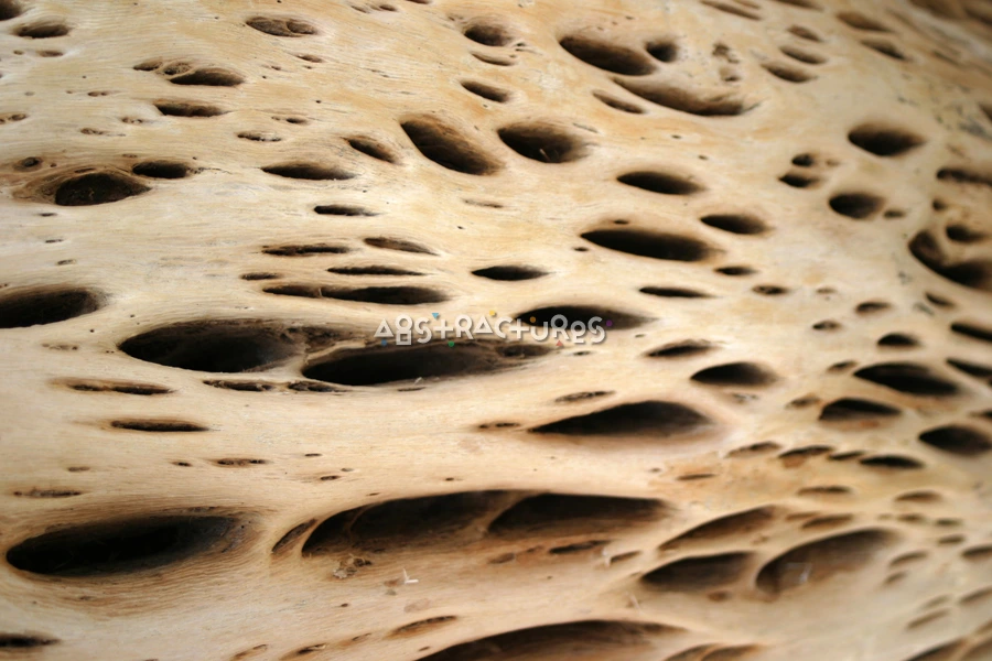 Unique Wood Grain Abstract Texture — photographic texture 16 — 15