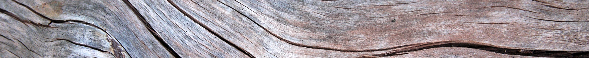 Color bar of the Texture Collection 41 texture palette