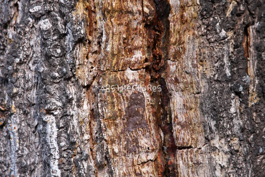 Wood Abstract Texture Background Image — photographic texture 41 — 04