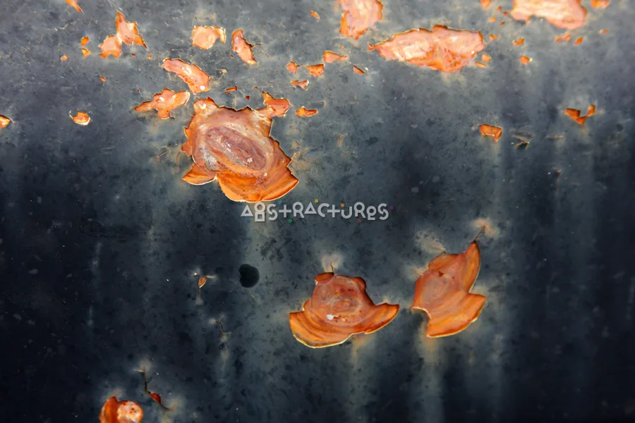Black Chipped Paint Metal Texture — photographic texture 33 — 06