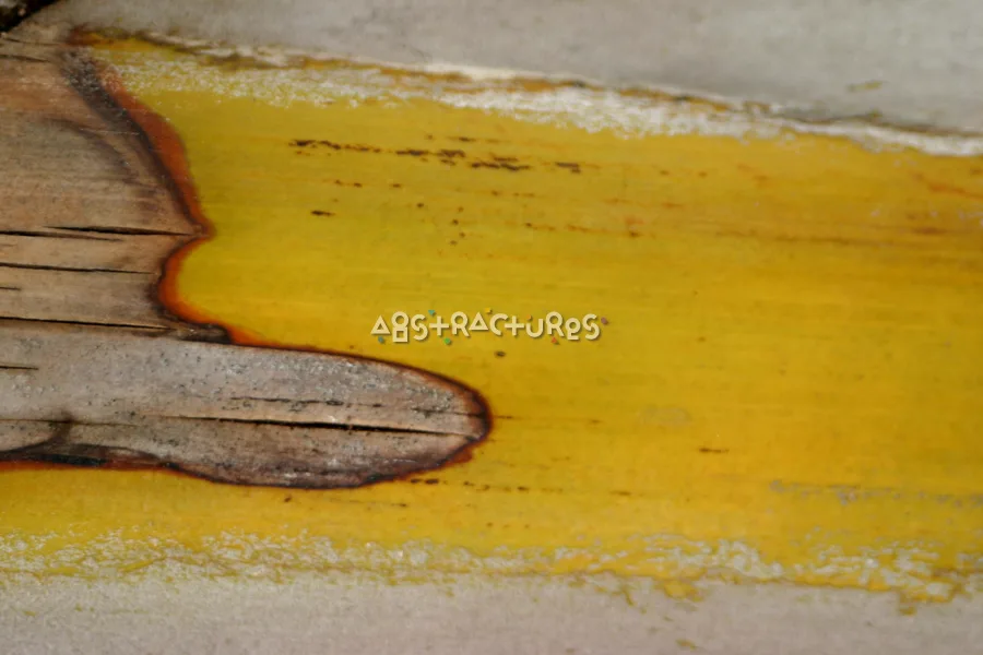 Yellow Tan Natural Background Texture — photographic texture 04 — 12