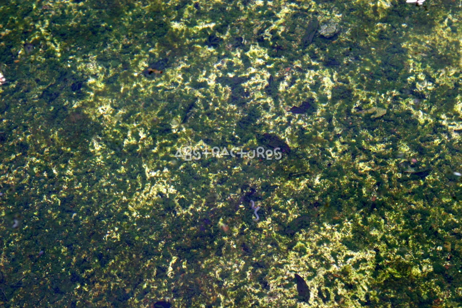 Green White Blue Abstract Texture — photographic texture 11 — 17
