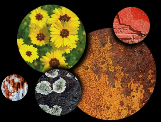 Circular crops from the Texture Collection 4 texture collection
