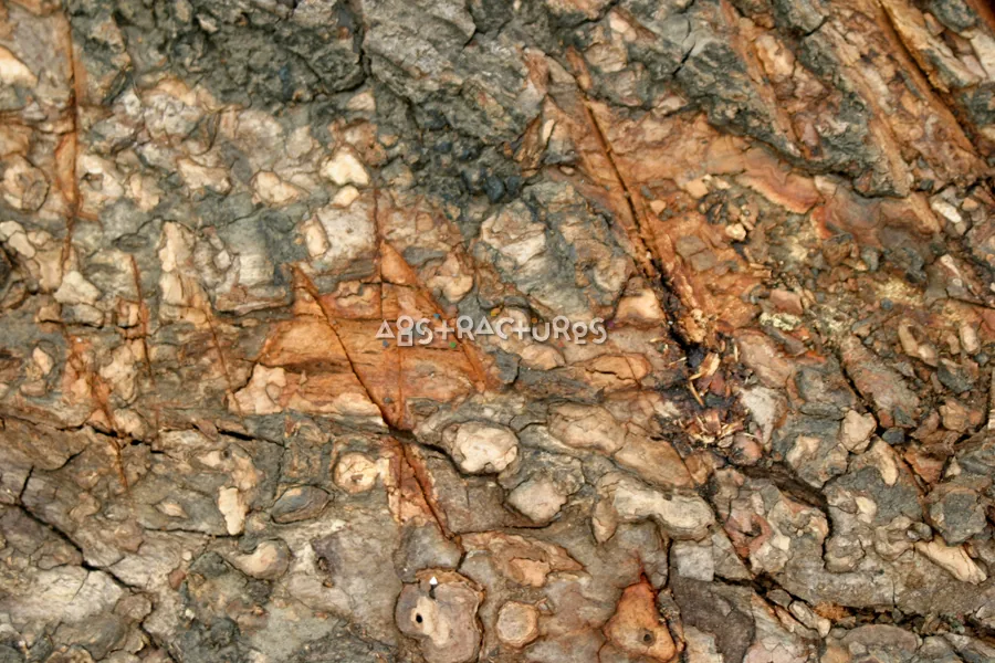 Tree Bark Closeup Abstract Texture — photographic texture 15 — 15