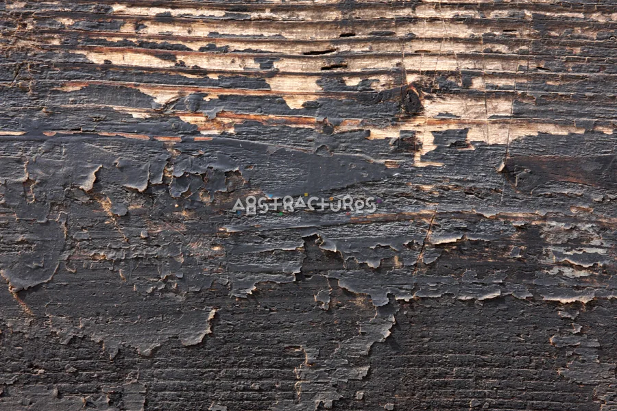 Wood Planks III texture 12 from Volume 42