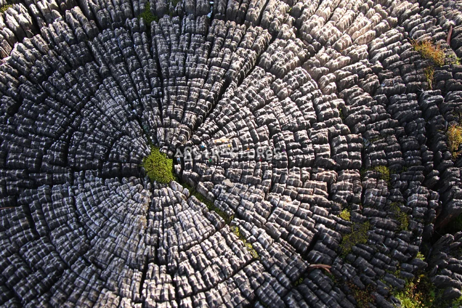 Wood Abstract Texture Background Image — photographic texture 42 — 21