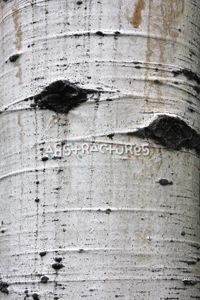Wood Bark Abstract Texture Background — photographic texture 44 — 13