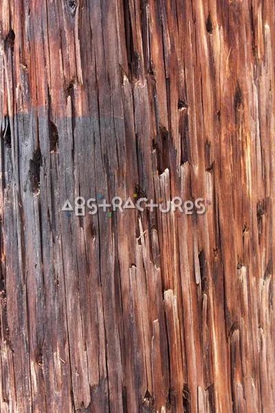 Wood Abstract Texture Background Image — photographic texture 41 — 01
