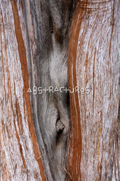 Wood Abstract Texture Background Image — photographic texture 41 — 05