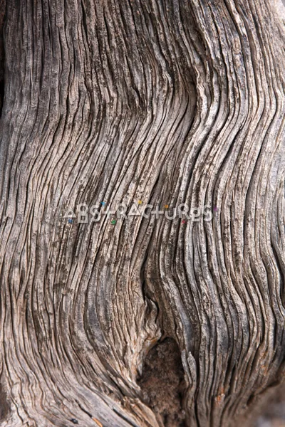 Wood Abstract Texture Background Image — photographic texture 42 — 36