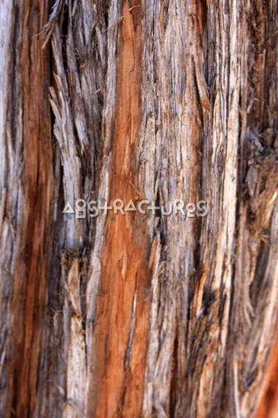 Wood Abstract Texture Background Image — photographic texture 40 — 08