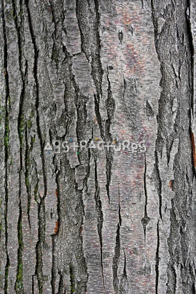 Wood Bark Abstract Texture Background — photographic texture 44 — 28