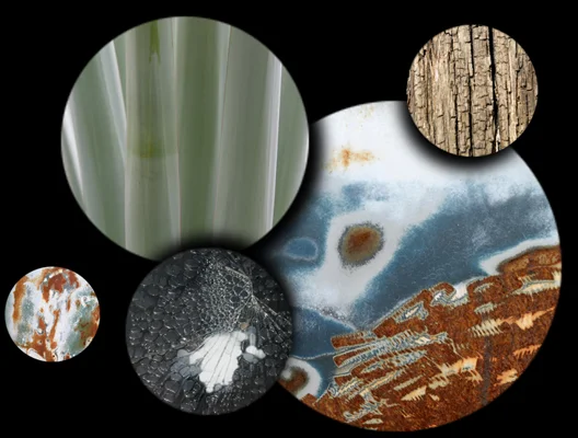 Circular crops from the Texture Collection 11 texture collection
