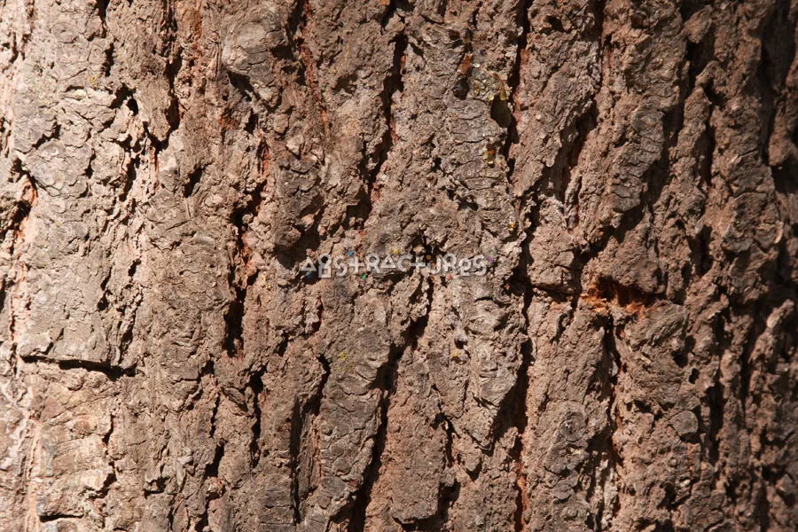 Wood Bark Abstract Texture Background — photographic texture 43 — 04