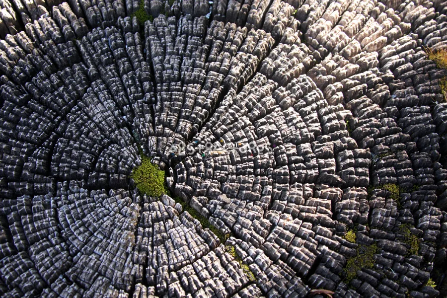 Wood Abstract Texture Background Image — photographic texture 41 — 35