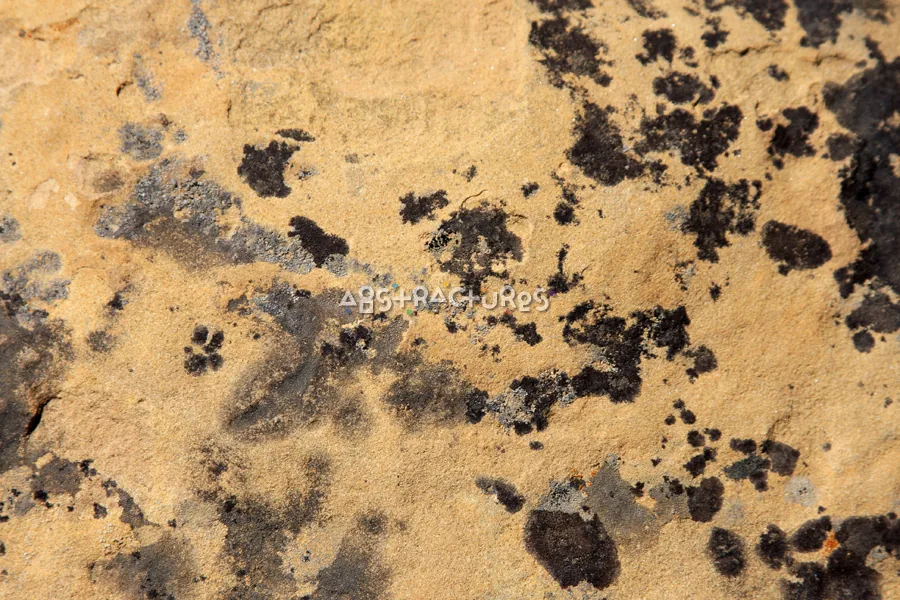Golden Stone texture 11 from Volume 34