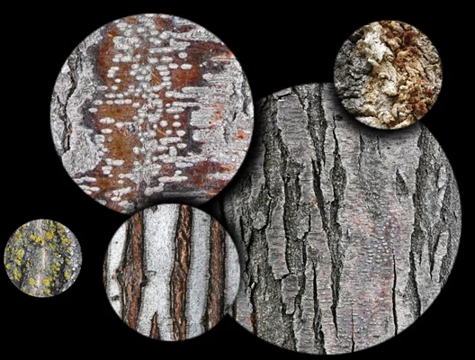 Circular crops from the Texture Collection 44 texture collection
