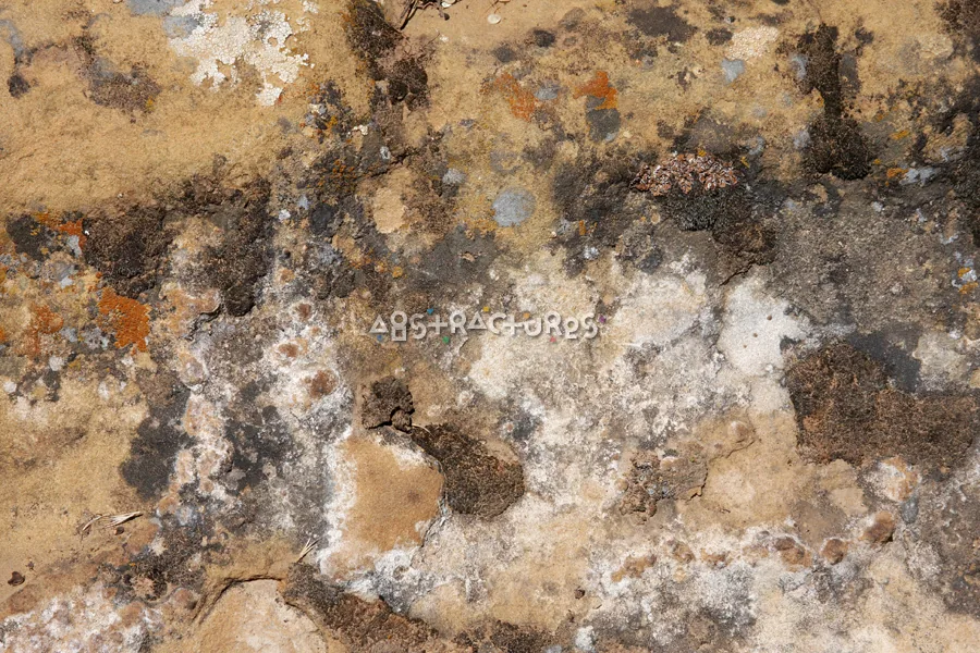 Cream Golden Abstract Stone Texture — photographic texture 35 — 36