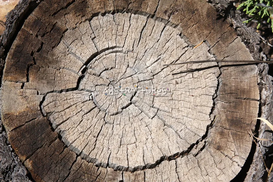 Wood Planks III texture 11 from Volume 42