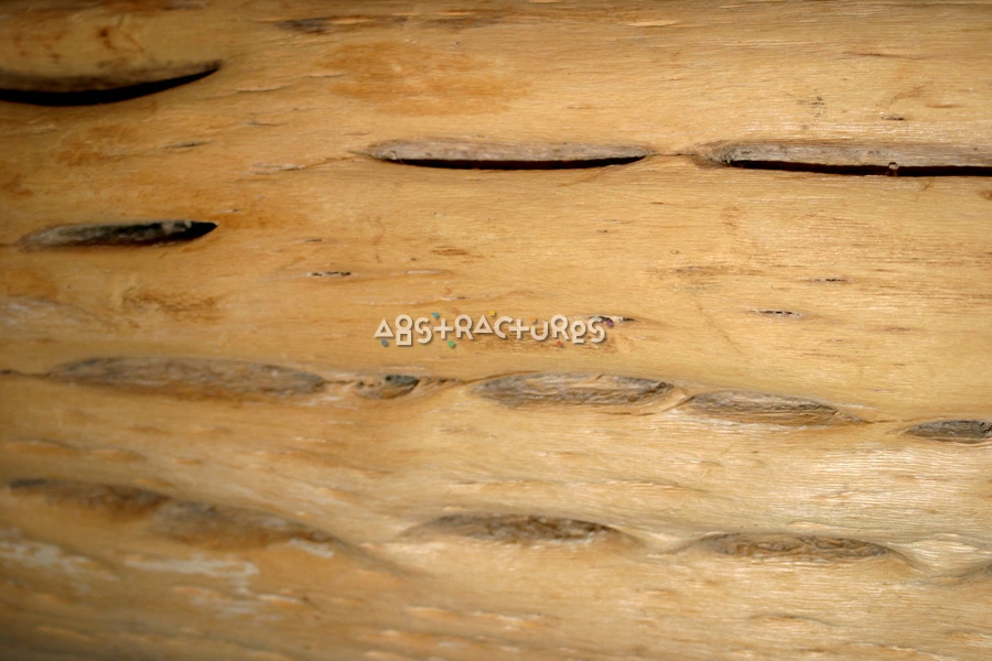 Unique Hardwood Grain Abstract Texture — photographic texture 16 — 20