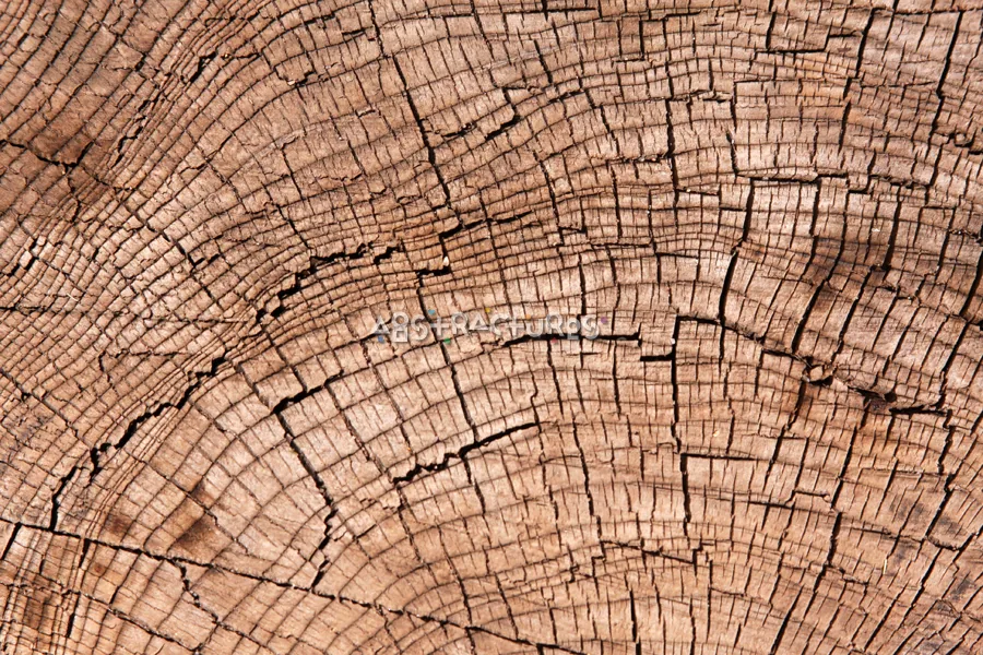 Wood Abstract Texture Background Image — photographic texture 41 — 31