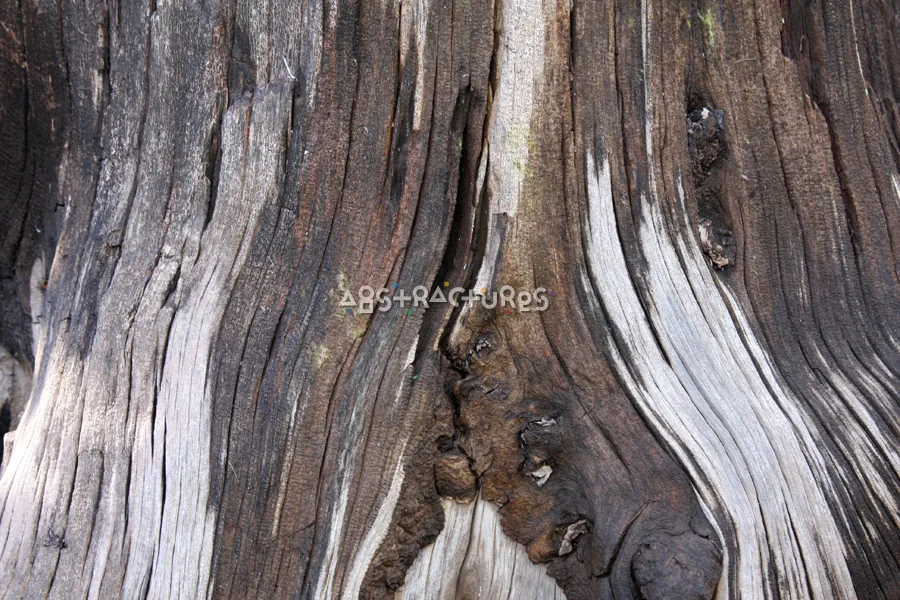 Wood Abstract Texture Background Image — photographic texture 42 — 02