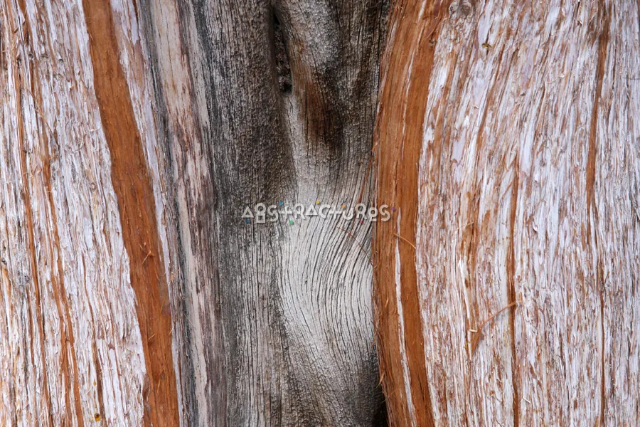 Wood Abstract Texture Background Image — photographic texture 42 — 26