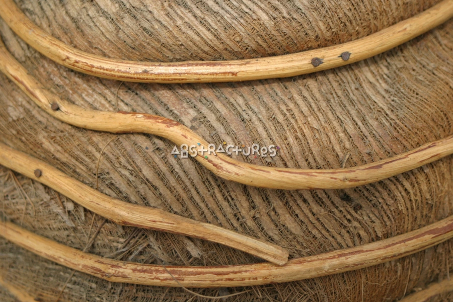 Artistic Tropical Wood Abstract Texture — photographic texture 16 — 14