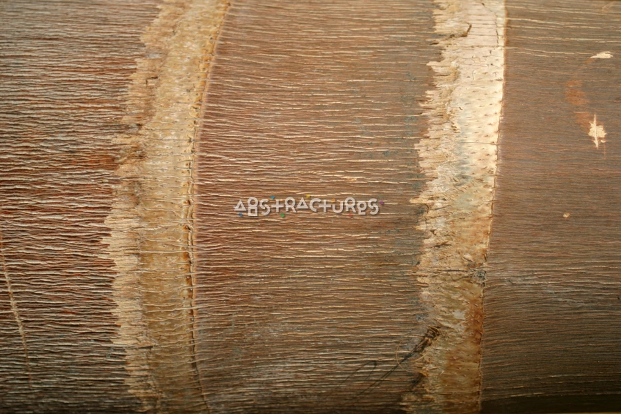Palm Tree Bark Wood Texture — photographic texture 16 — 22