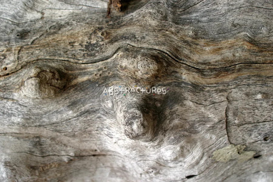 Unique Wood Grain Abstract Texture — photographic texture 15 — 30