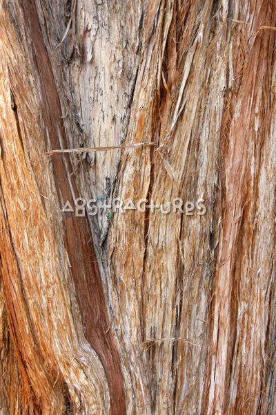 Wood Abstract Texture Background Image — photographic texture 41 — 12