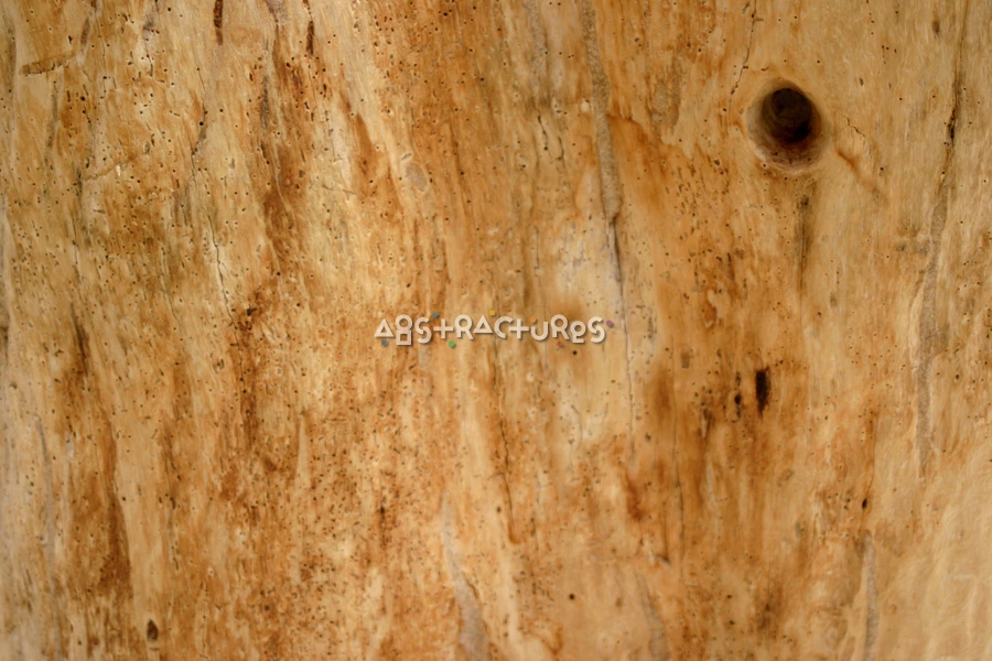 Golden Wood Abstract Texture Background — photographic texture 16 — 35