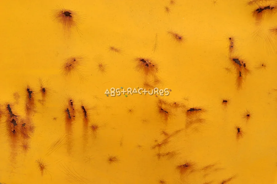Yellow Painted Metal Abstract Texture — photographic texture 12 — 01