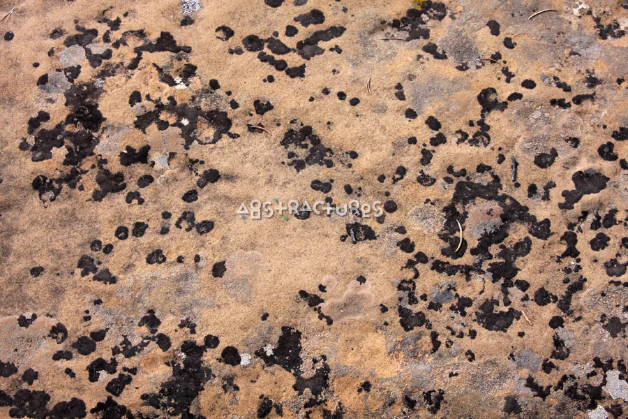 Black Tan Spotted Stone Texture — photographic texture 35 — 17