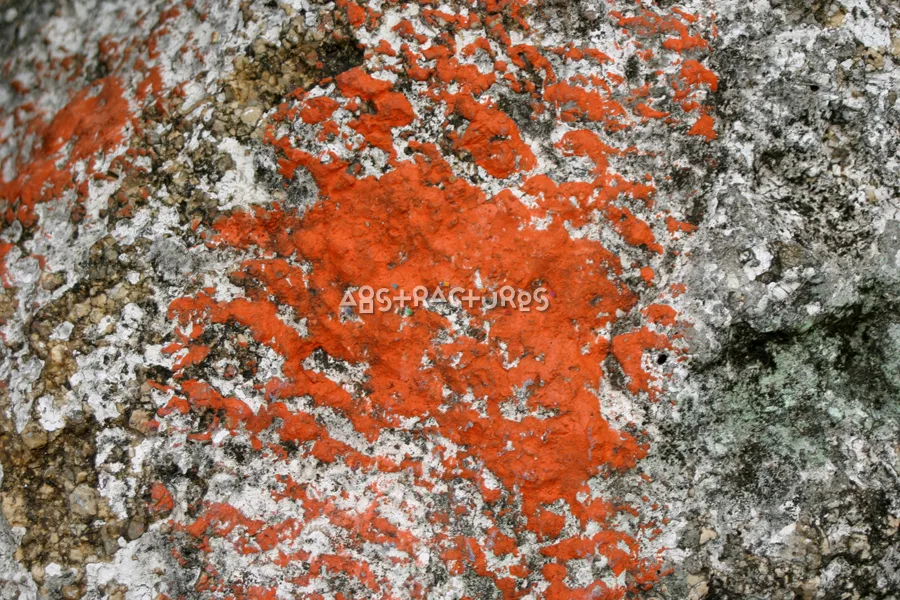 Orange White Tan Stone Texture — photographic texture 06 — 24